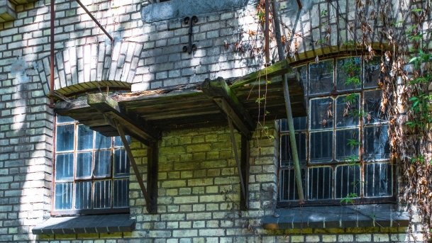 Stado Ogierów w Kętrzynie - zdjęcie 44