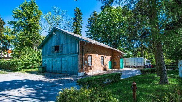 Stado Ogierów w Kętrzynie - zdjęcie 42