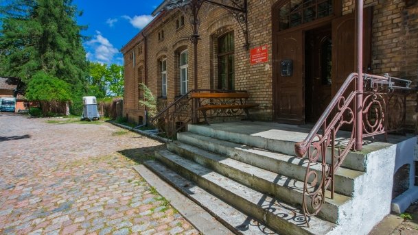 Stado Ogierów w Kętrzynie - zdjęcie 34