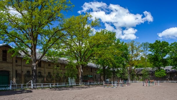 Stado Ogierów w Kętrzynie - zdjęcie 32