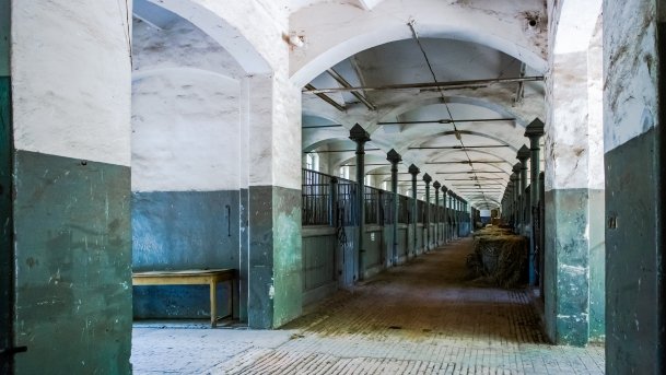 Stado Ogierów w Kętrzynie - zdjęcie 27