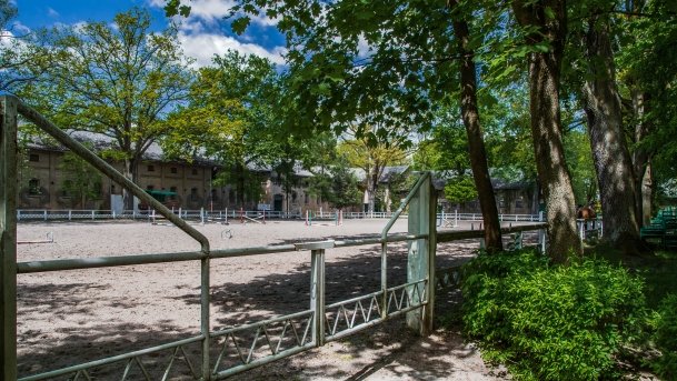 Stado Ogierów w Kętrzynie - zdjęcie 23