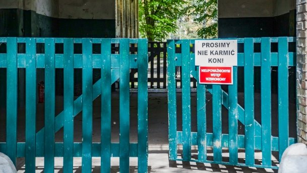 Stado Ogierów w Kętrzynie - zdjęcie 16