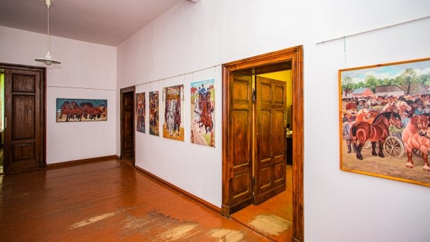 Stado Ogierów w Kętrzynie - zdjęcie 14