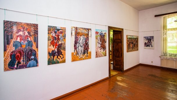 Stado Ogierów w Kętrzynie - zdjęcie 13