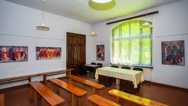 Stado Ogierów w Kętrzynie - zdjęcie 12