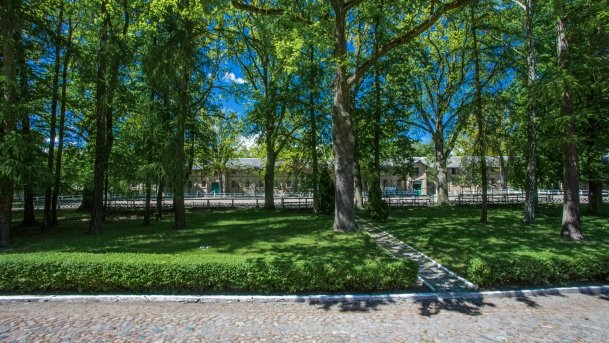 Stado Ogierów w Kętrzynie - zdjęcie 9