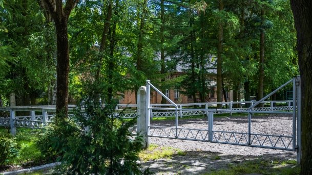 Stado Ogierów w Kętrzynie - zdjęcie 7