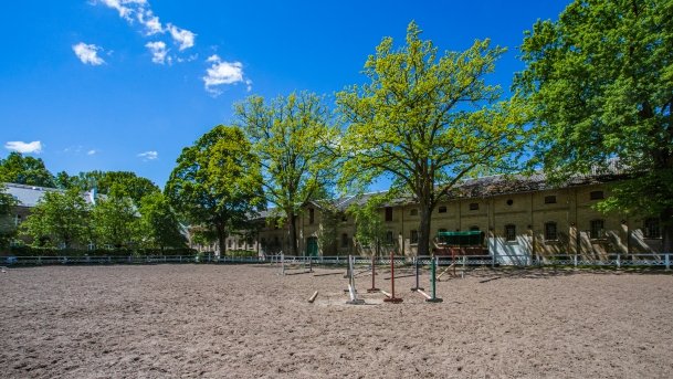 Stado Ogierów w Kętrzynie - zdjęcie 6