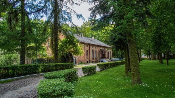 Stado Ogierów w Kętrzynie - zdjęcie 3