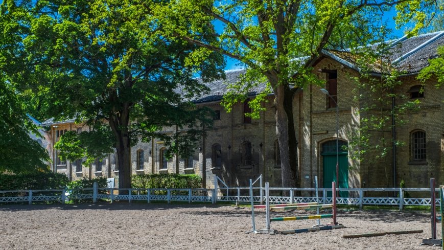 Stado Ogierów w Kętrzynie - zdjęcie 1