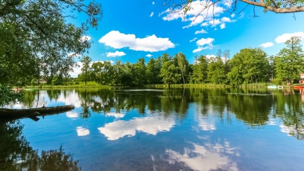 Młyn Wodny - zdjęcie 27