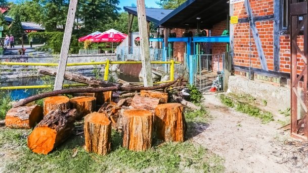 Młyn Wodny - zdjęcie 10