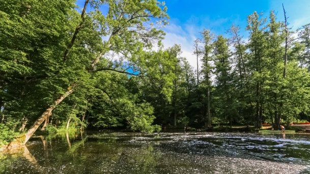 Młyn Wodny - zdjęcie 6