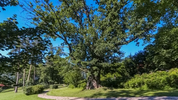 Dawna Siedziba Heinricha Himmlera - zdjęcie 5