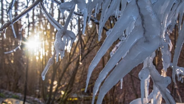 Mosty - Stańczyki - zdjęcie 30