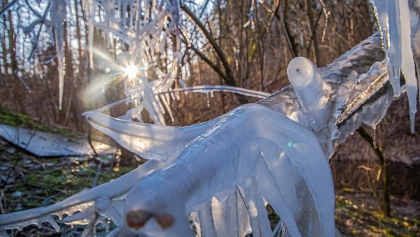 Mosty - Stańczyki - zdjęcie 29