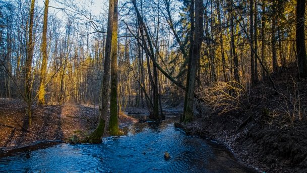 Mosty - Stańczyki - zdjęcie 13