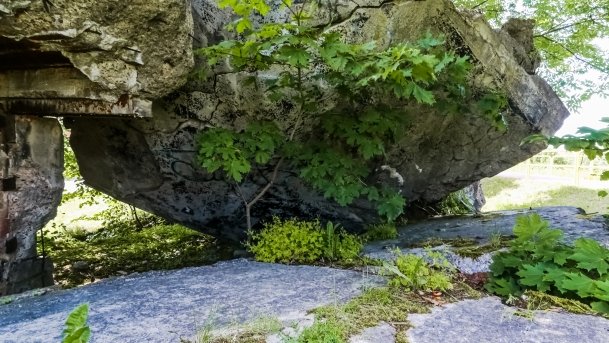 Bunkier Ogonki - zdjęcie 7