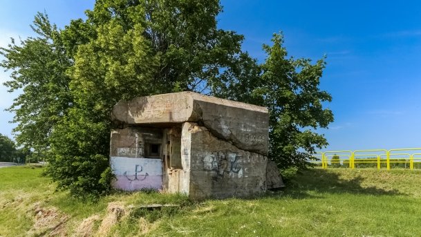 Bunkier Ogonki - zdjęcie 4