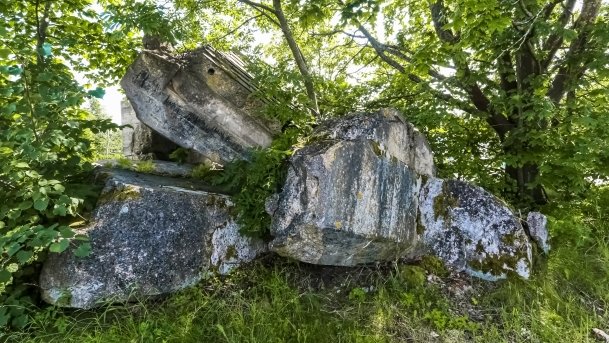 Bunkier Ogonki - zdjęcie 2