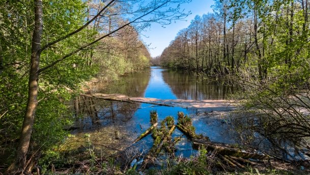 Śluza Leśniewo Górne - zdjęcie 14