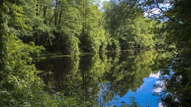 Śluza Leśniewo Górne - zdjęcie 11