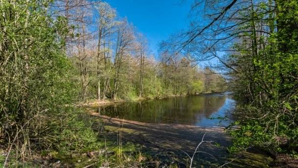 Śluza Leśniewo Górne - zdjęcie 8