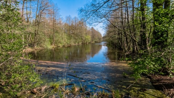 Śluza Leśniewo Górne - zdjęcie 7