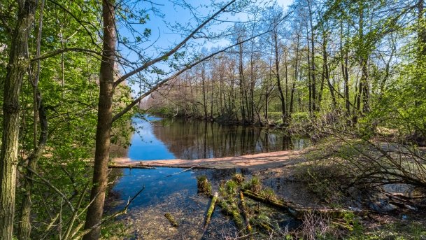 Śluza Leśniewo Górne - zdjęcie 1