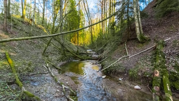 Śluza Bajory Małe - zdjęcie 18