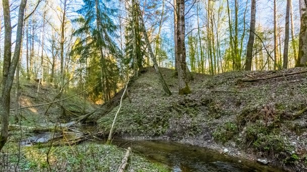 Śluza Bajory Małe - zdjęcie 6