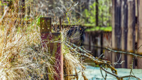 Śluza Bajory Długopole - zdjęcie 32