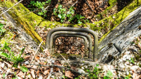 Śluza Bajory Długopole - zdjęcie 31