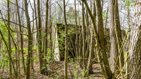 Śluza Bajory Długopole - zdjęcie 17