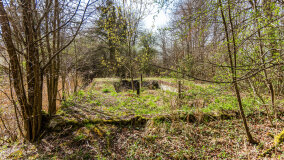 Śluza Bajory Długopole - zdjęcie 15