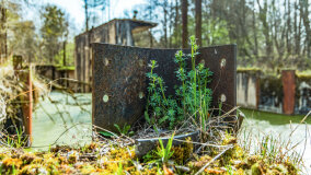 Śluza Bajory Długopole - zdjęcie 14