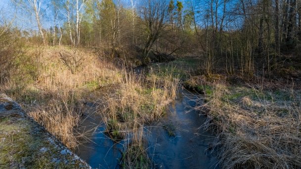 Śluza Bajory Długopole - zdjęcie 16