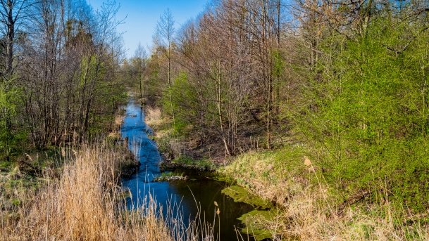 Śluza Bajory Długopole - zdjęcie 13