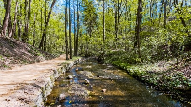 Stare Miasto Reszel - zdjęcie 4