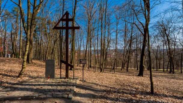 Mogiła zbiorowa z I w.ś. - zdjęcie 17