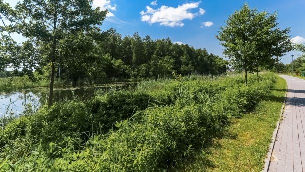 Bulwar Loir et Cher - zdjęcie 8