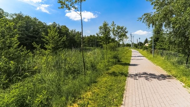 Bulwar Loir et Cher - zdjęcie 7