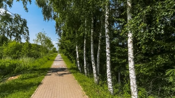 Bulwar Loir et Cher - zdjęcie 6