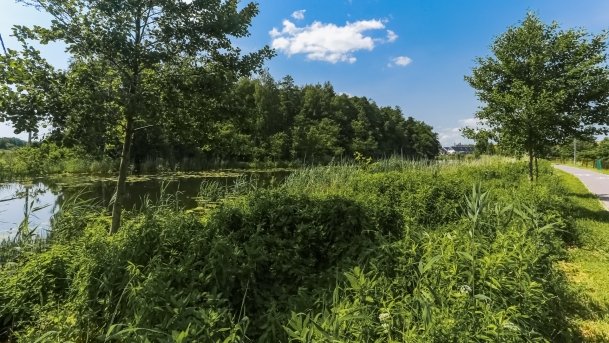 Bulwar Loir et Cher - zdjęcie 5