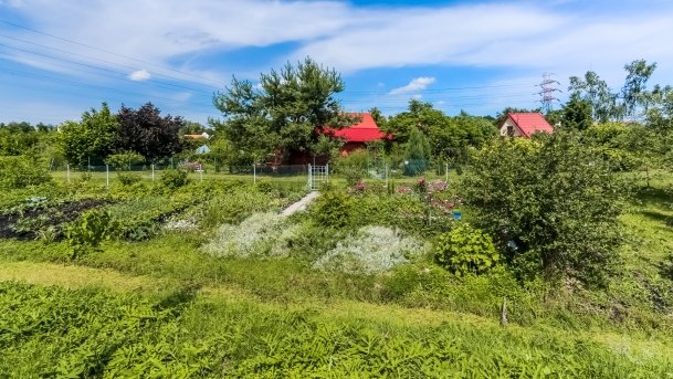 Bulwar Loir et Cher - zdjęcie 3