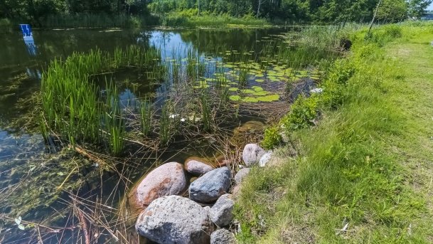 Bulwar Loir et Cher - zdjęcie 2