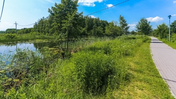 Bulwar Loir et Cher - zdjęcie 1