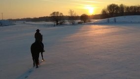 Stajnia Melnik Nowy Harsz