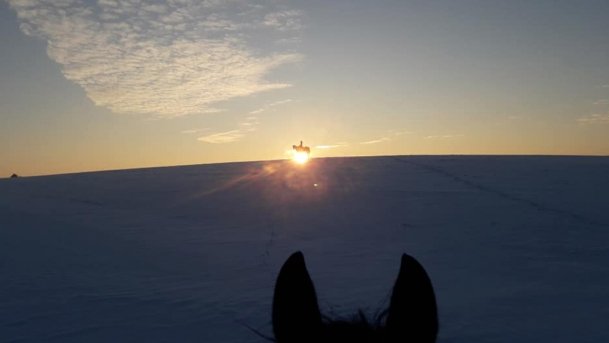 Stajnia Melnik Nowy Harsz - zdjęcie 10